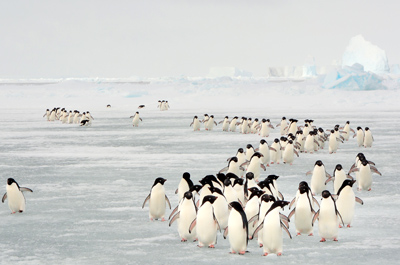 SAP MIGRATIONS TO THE CLOUD