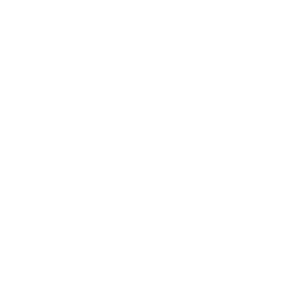 business-report