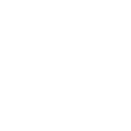 consult