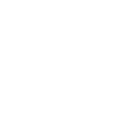 decision-making