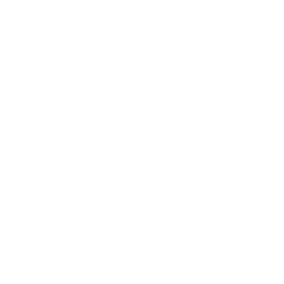 digital