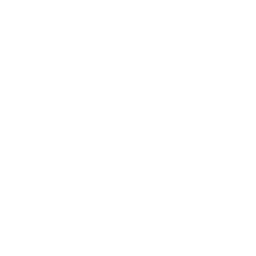 insurance