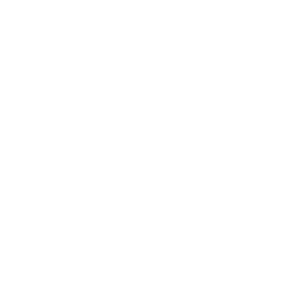 witness