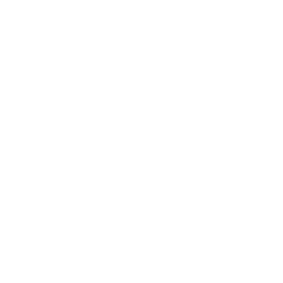 interactive