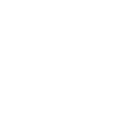 web